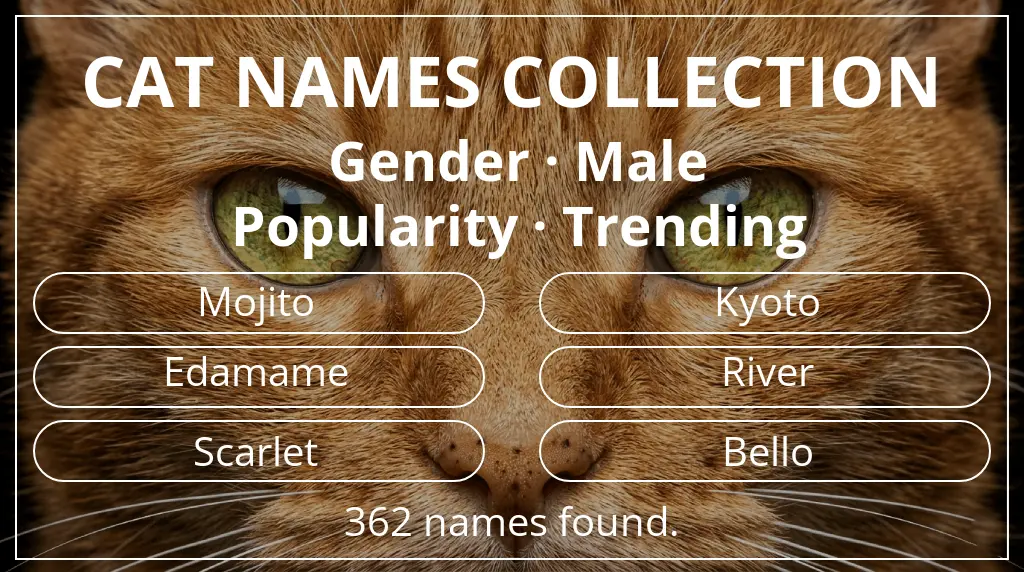 Feline names related to male gender and trending popularity