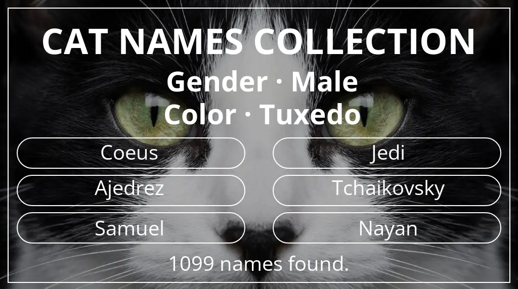 Feline names based on male gender and tuxedo color