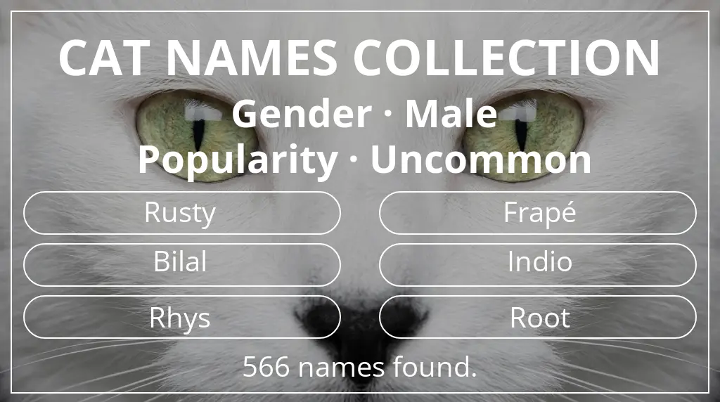 Feline names inspired by male gender and uncommon popularity