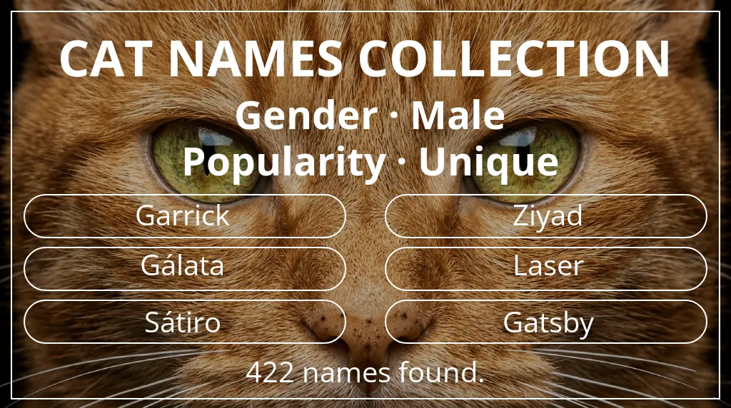 Cat names related to male gender and unique popularity