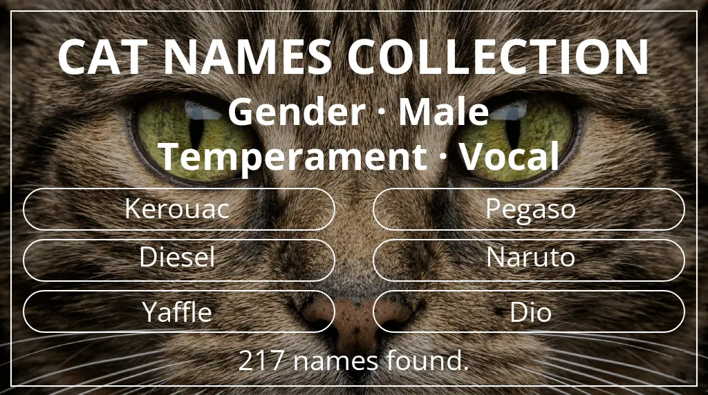 Feline names based on male gender and vocal temperament
