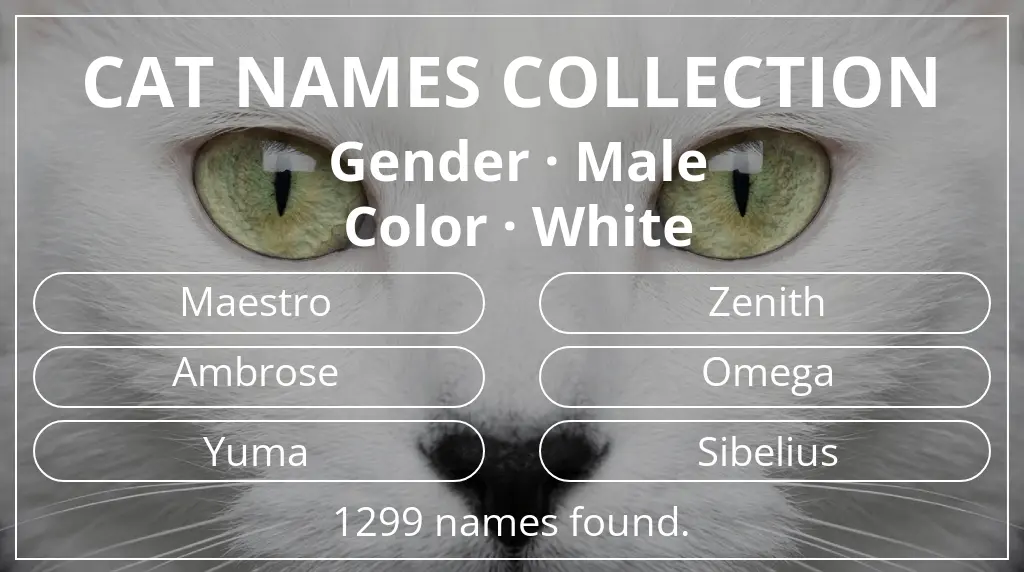 Feline names related to male gender and white color