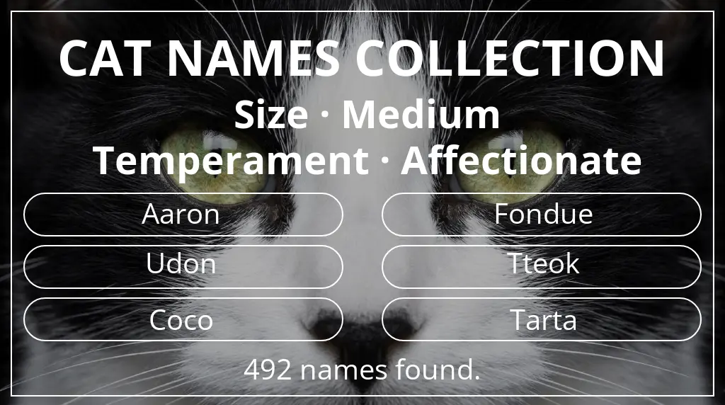 Names for cats inspired by medium size and affectionate temperament