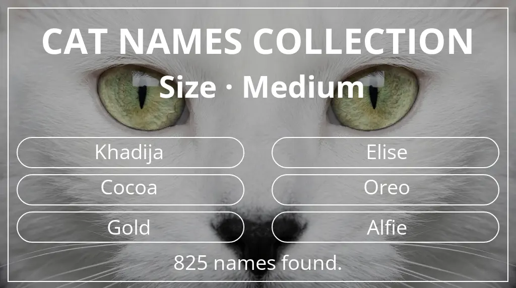 Cat names based on medium size
