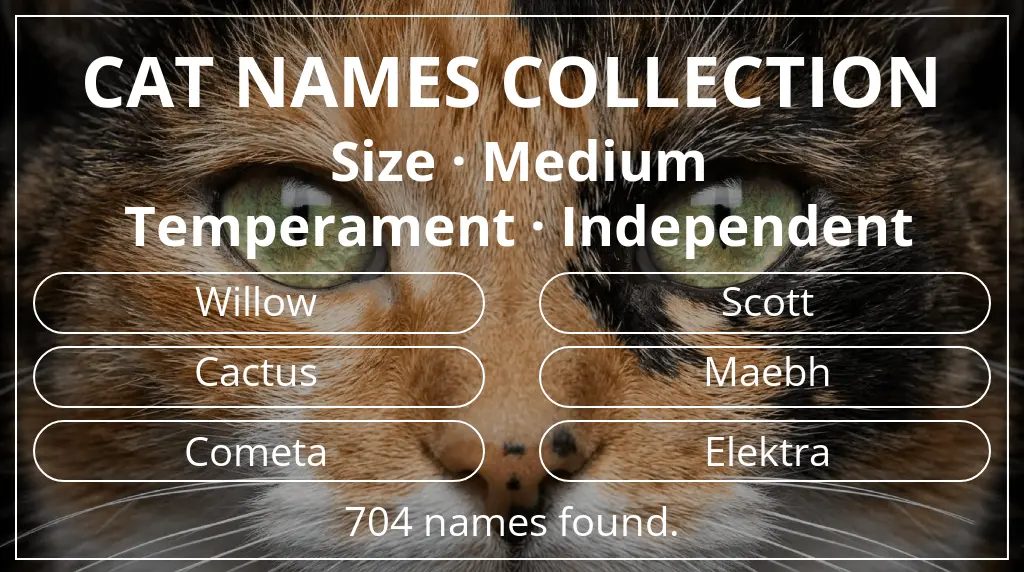 Cat names inspired by medium size and independent temperament