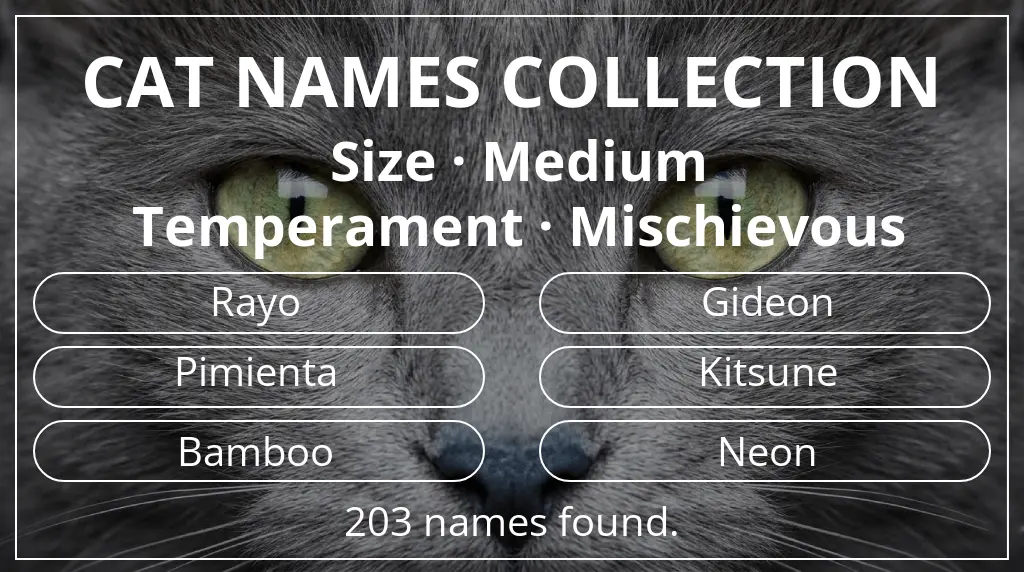 Names for cats inspired by medium size and mischievous temperament