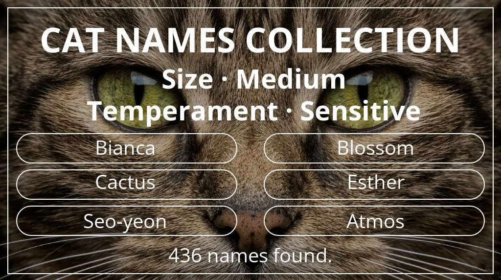 Names for cats inspired by medium size and sensitive temperament