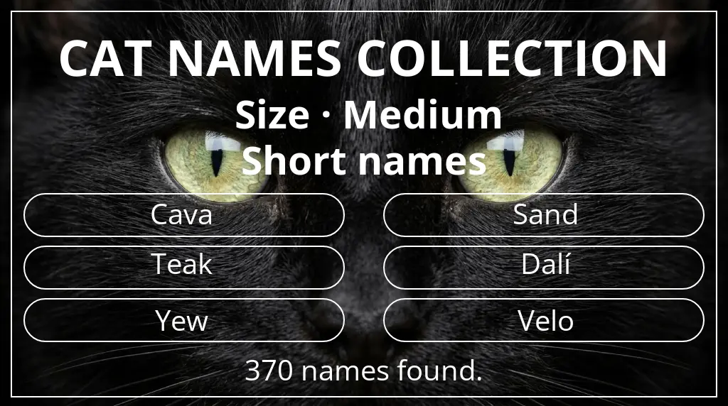 Feline names based on medium size and short (2–4) name length