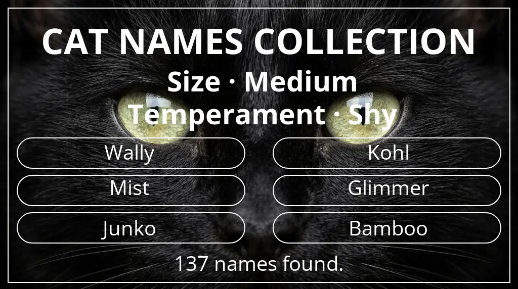 Names for cats based on medium size and shy temperament
