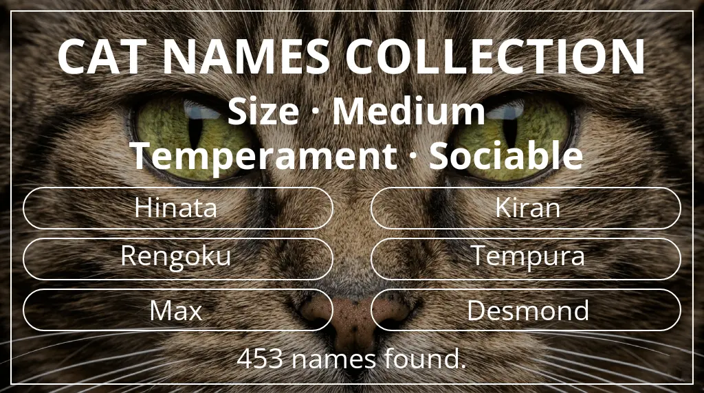 Names for cats inspired by medium size and sociable temperament