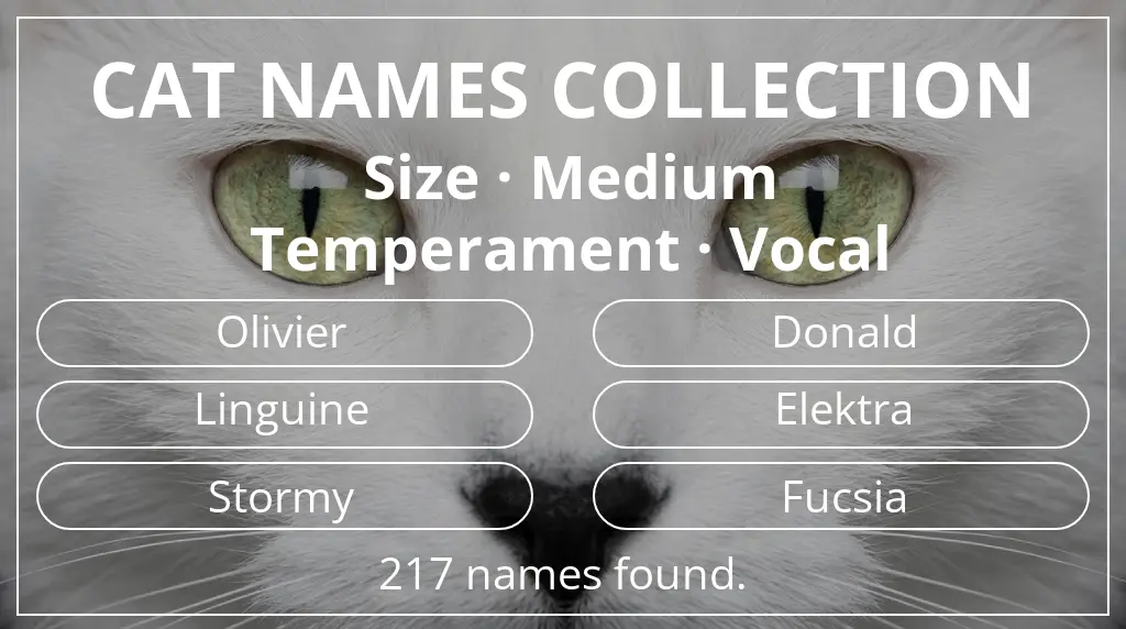 Names for cats related to medium size and vocal temperament