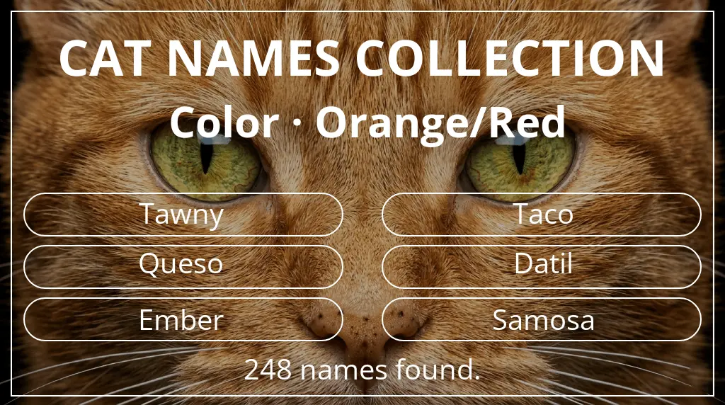 Names for cats related to orange/red color
