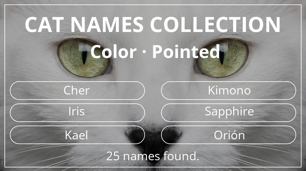 Feline names inspired by pointed color
