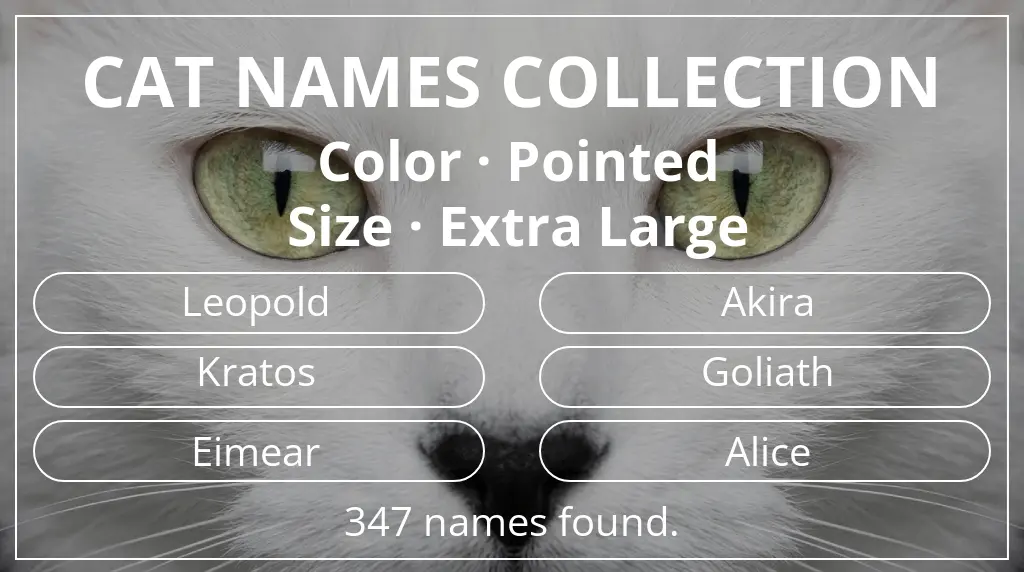 Feline names inspired by pointed color and extra large size