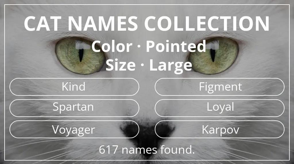 Names for cats based on pointed color and large size