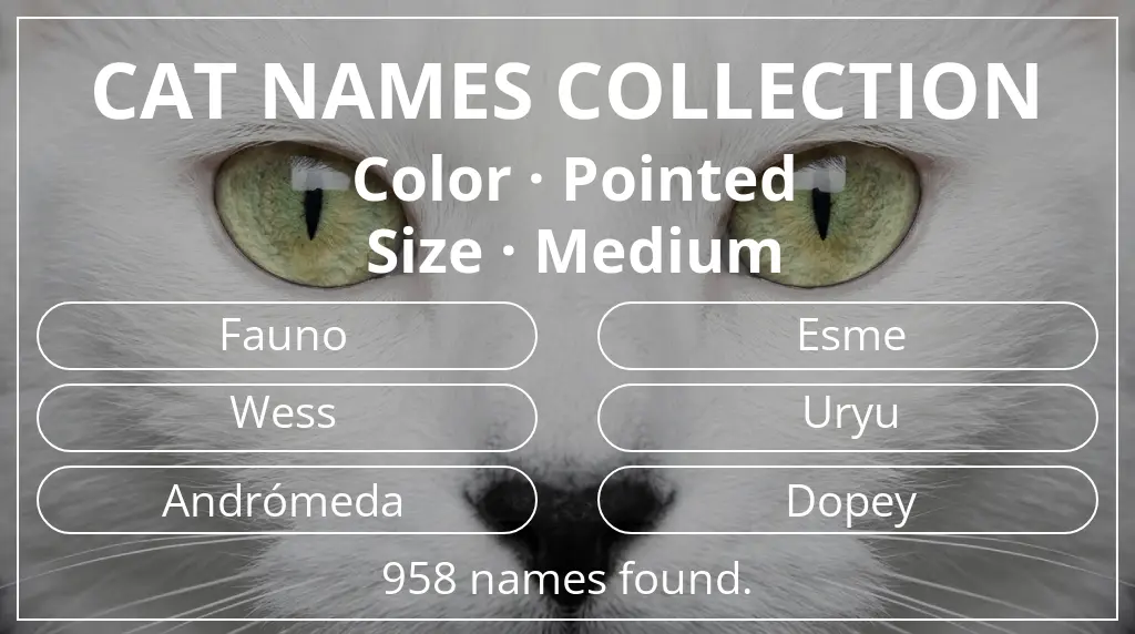 Cat names related to pointed color and medium size