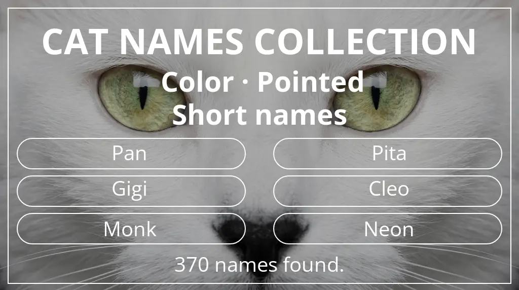 Feline names related to pointed color and short (2–4) name length