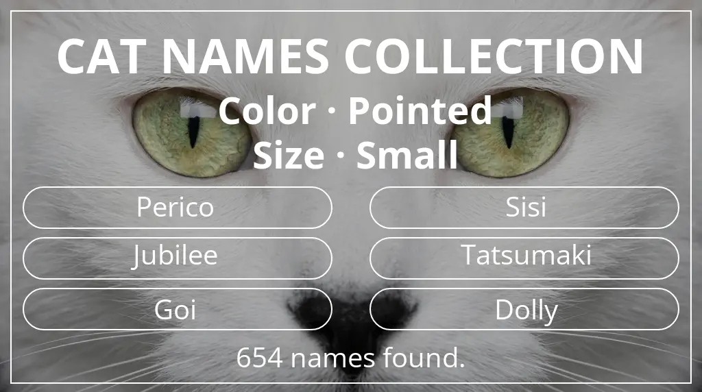Feline names based on pointed color and small size