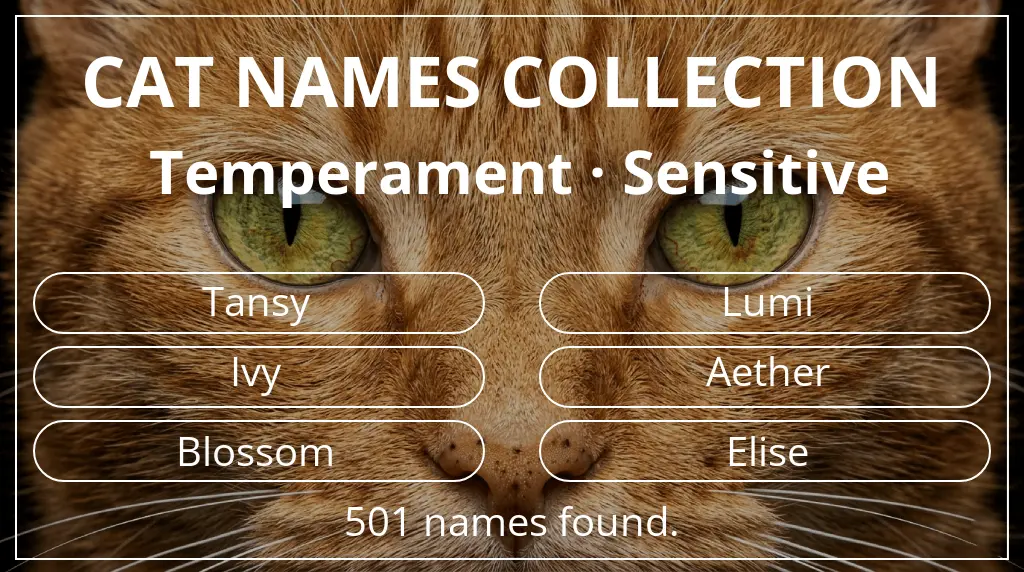 Names for cats inspired by sensitive temperament