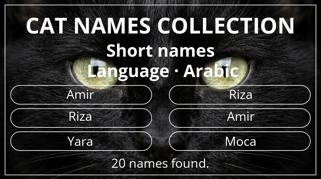 Names for cats inspired by short (2–4) name length and arabic language