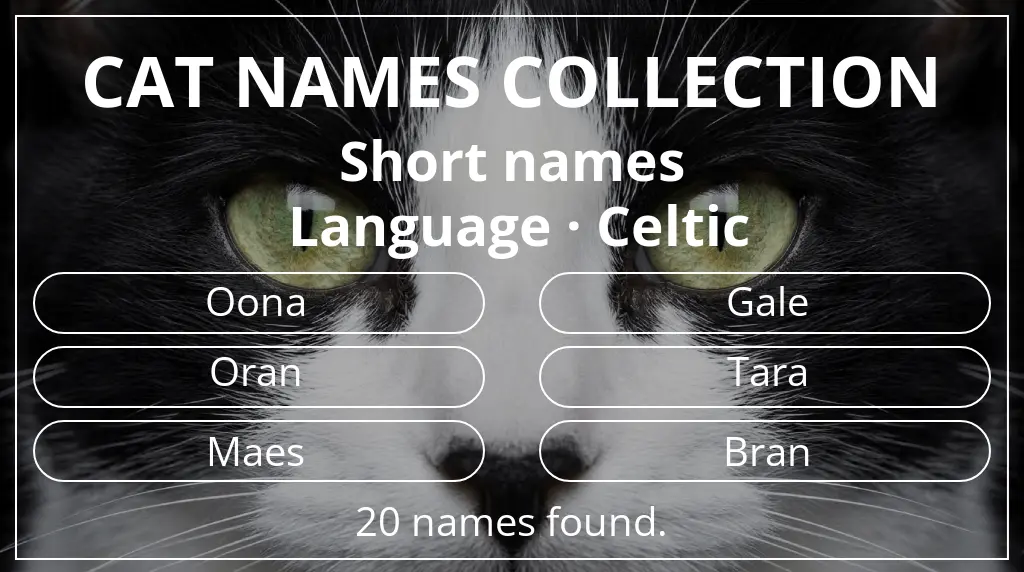 Names for cats based on short (2–4) name length and celtic language