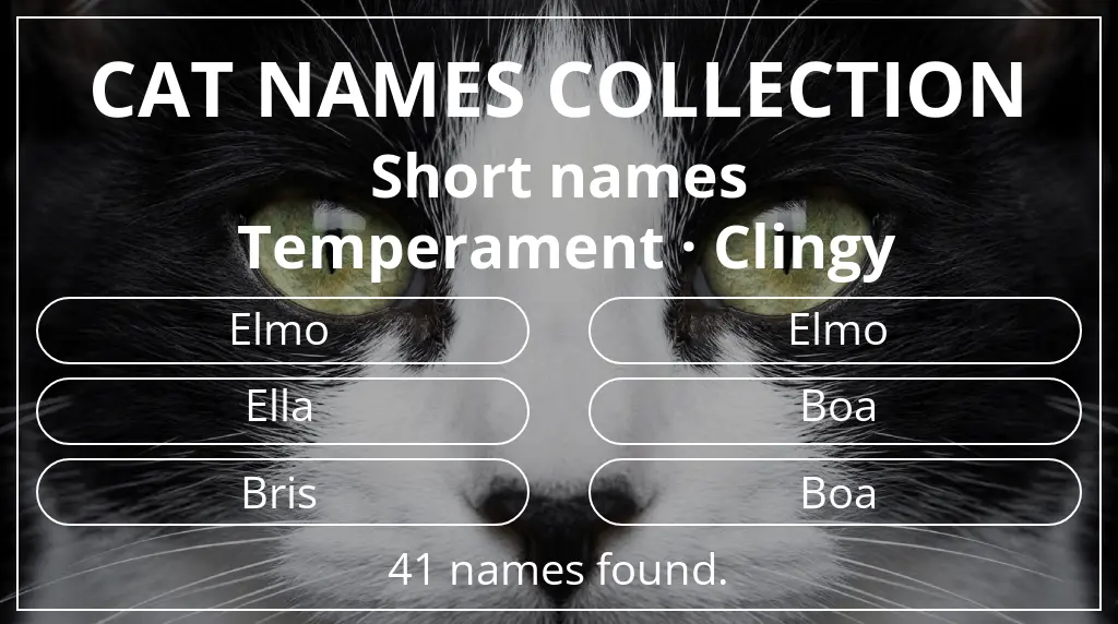 Feline names inspired by short (2–4) name length and clingy temperament