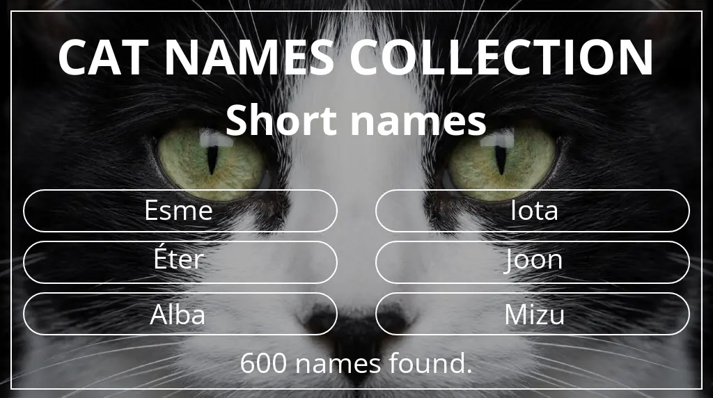 Cat names inspired by short (2–4) name length