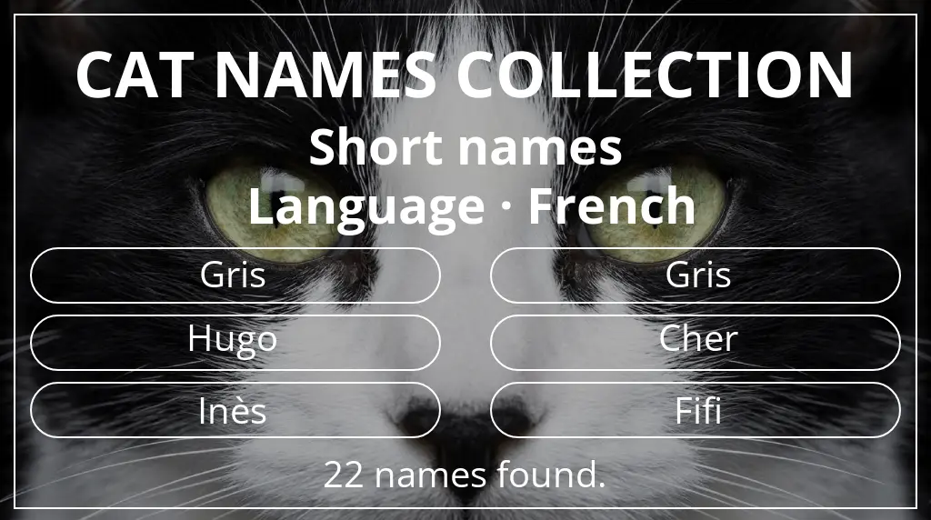 Names for cats based on short (2–4) name length and french language