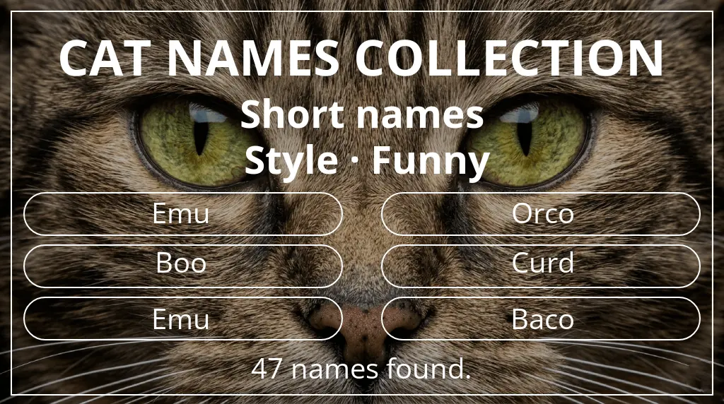 Feline names inspired by short (2–4) name length and funny style