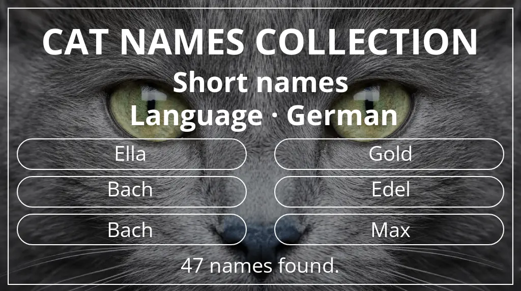 Names for cats inspired by short (2–4) name length and german language
