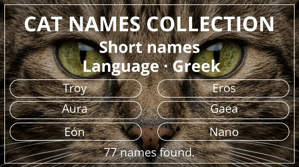 Feline names inspired by short (2–4) name length and greek language