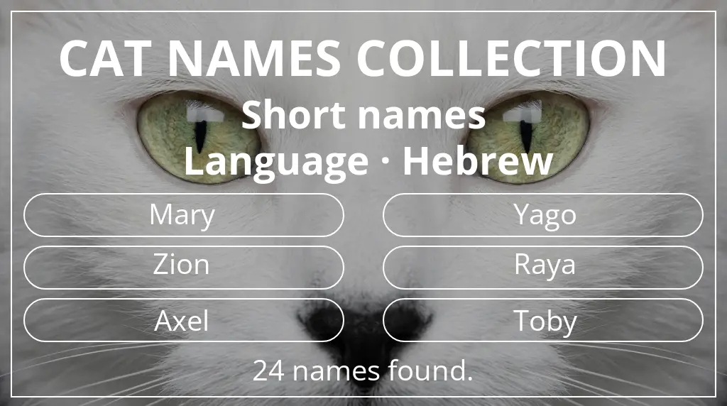 Cat names inspired by short (2–4) name length and hebrew language