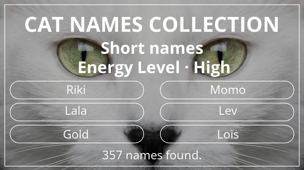 Cat names based on short (2–4) name length and high energy level