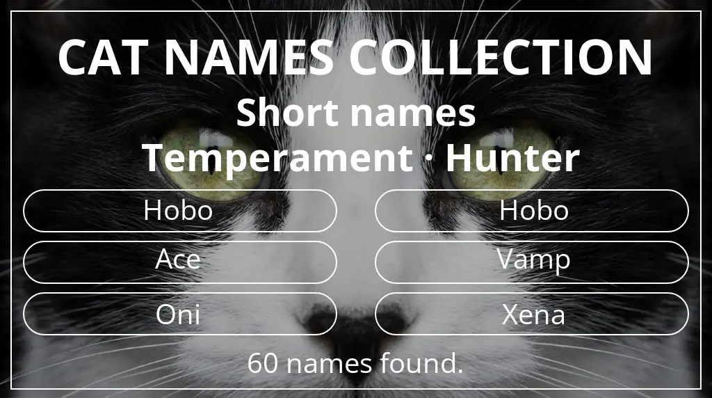 Cat names inspired by short (2–4) name length and hunter temperament