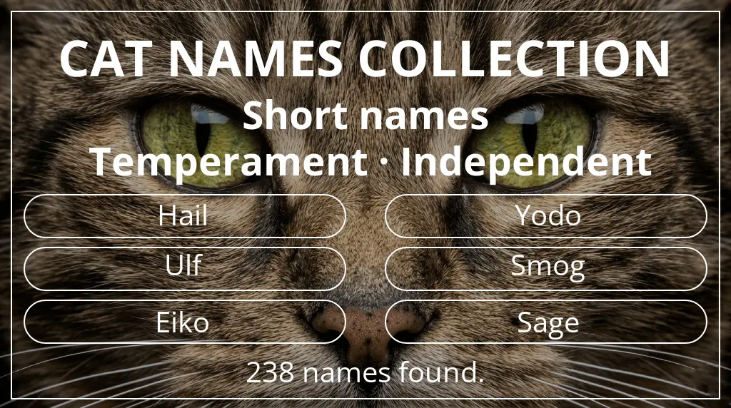Cat names inspired by short (2–4) name length and independent temperament