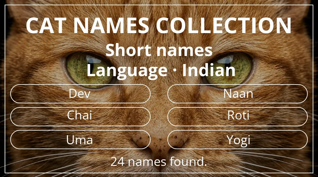 Feline names inspired by short (2–4) name length and indian language