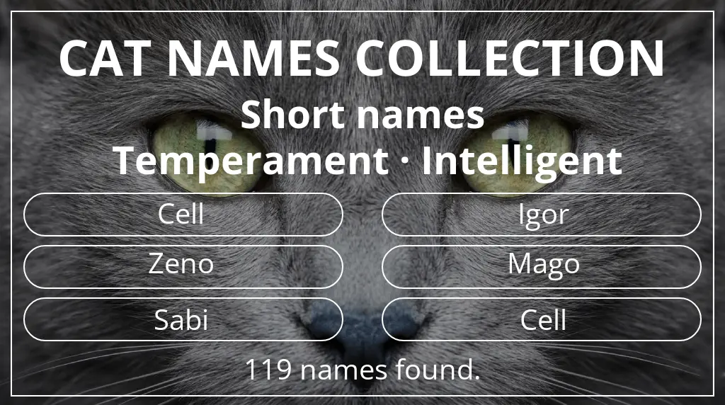 Names for cats based on short (2–4) name length and intelligent temperament