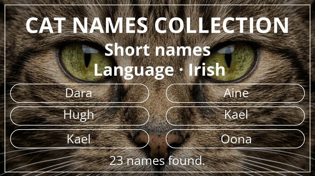 Names for cats inspired by short (2–4) name length and irish language