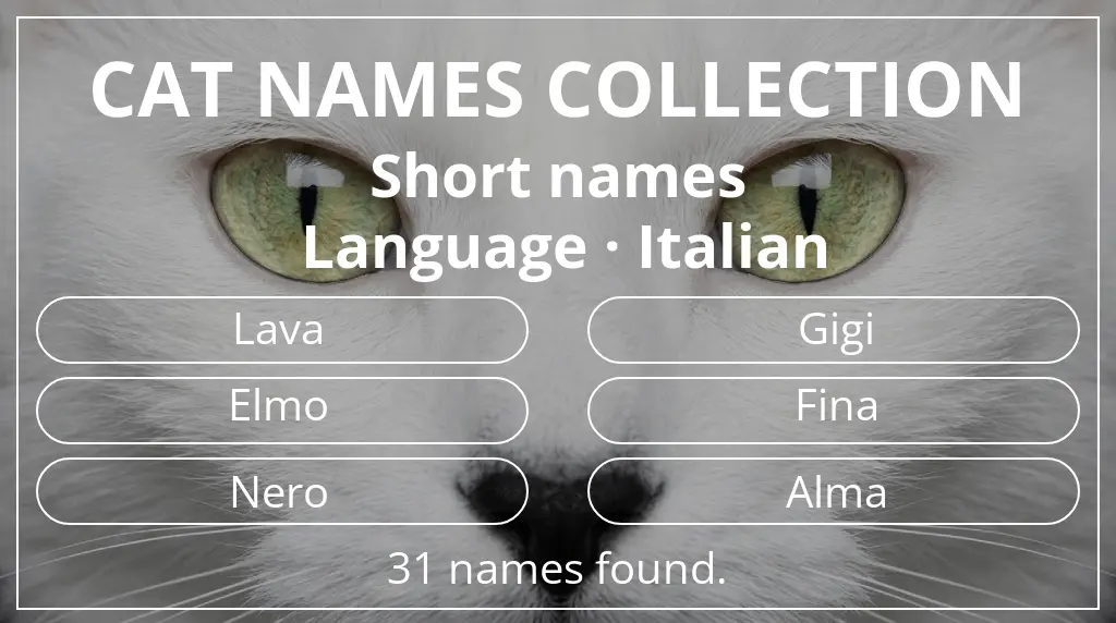 Feline names related to short (2–4) name length and italian language