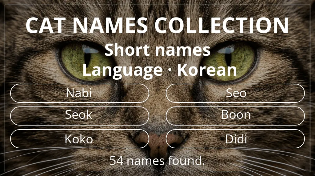 Feline names inspired by short (2–4) name length and korean language