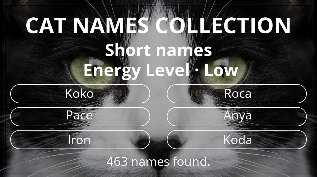 Cat names related to short (2–4) name length and low energy level