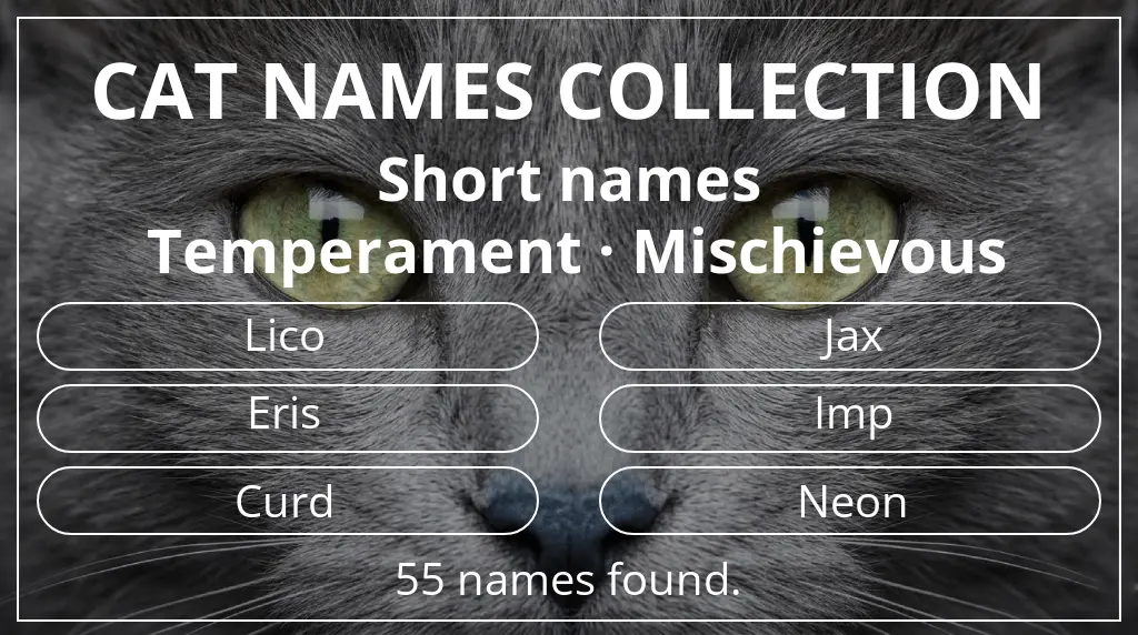 Cat names based on short (2–4) name length and mischievous temperament