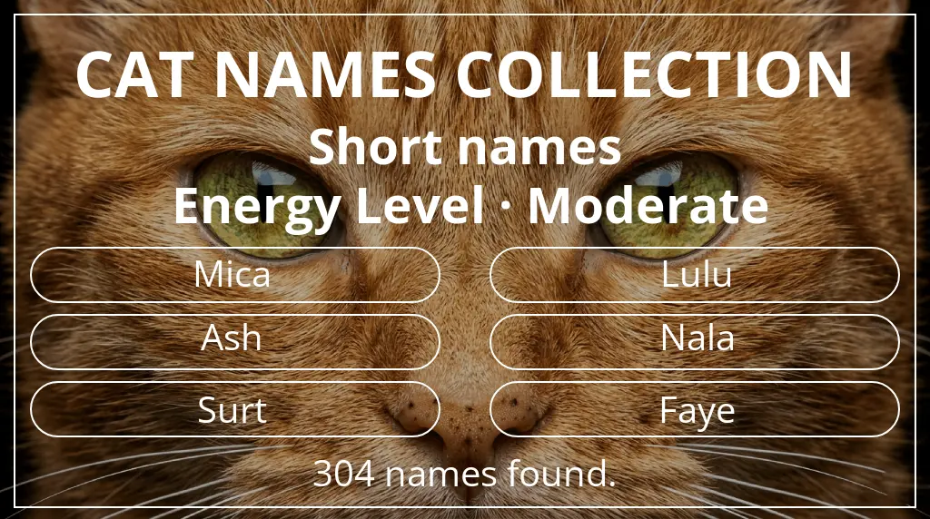 Names for cats inspired by short (2–4) name length and moderate energy level