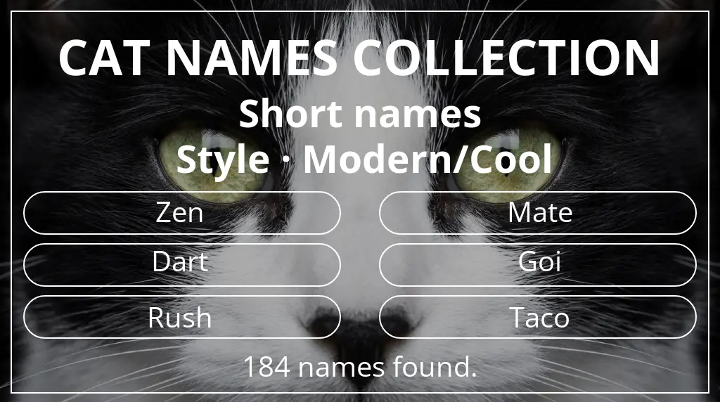 Feline names based on short (2–4) name length and modern/cool style