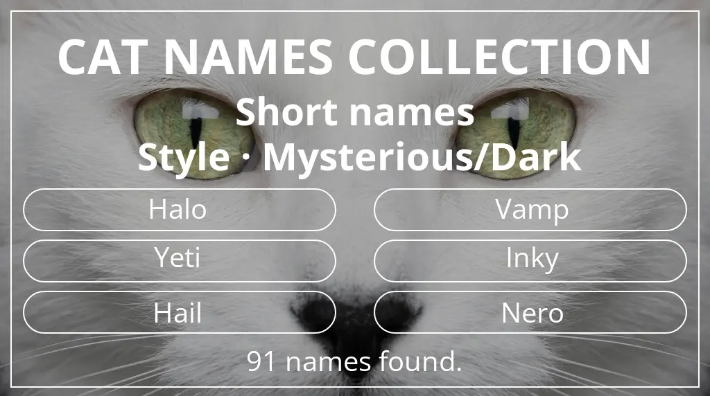 Feline names related to short (2–4) name length and mysterious/dark style