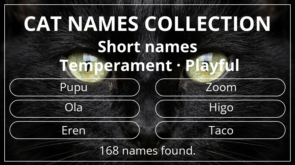 Names for cats based on short (2–4) name length and playful temperament