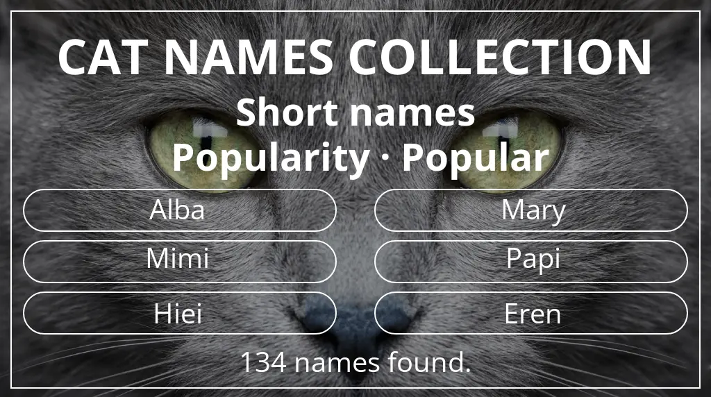 Cat names inspired by short (2–4) name length and popular popularity