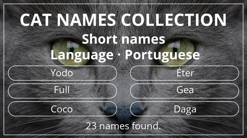Cat names based on short (2–4) name length and portuguese language