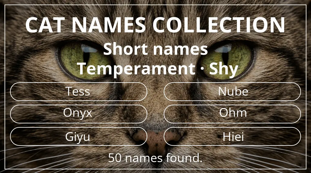 Cat names related to short (2–4) name length and shy temperament