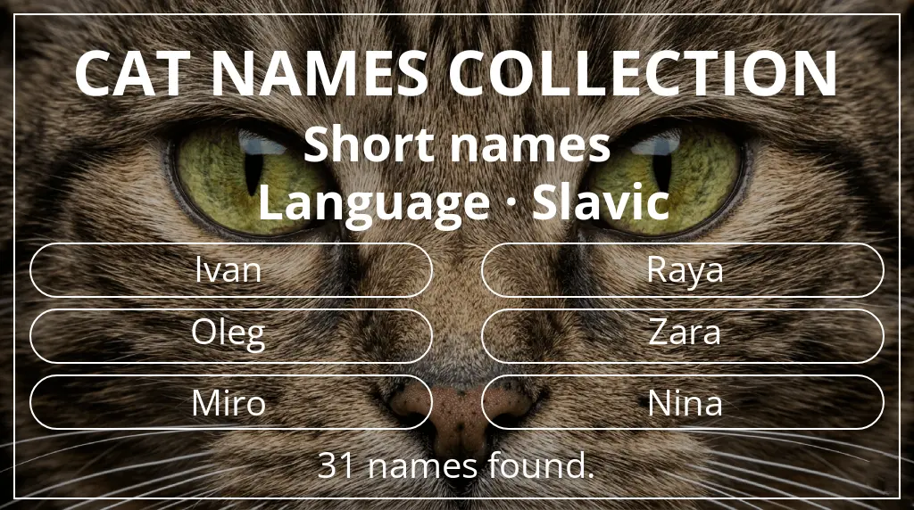 Feline names based on short (2–4) name length and slavic language